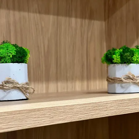 Osapart Pretty At The Complex Great Britain