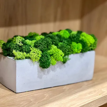 Osapart Pretty At The Complex Great Britain Апартаменти