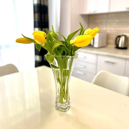 Osapart Pretty At The Complex Great Britain Львів