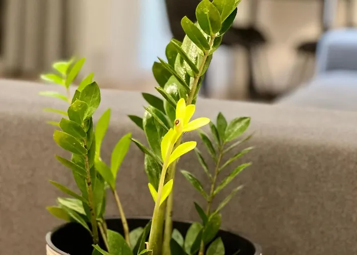 Osapart Pretty At The Complex Great Britain Апартаменти Львів