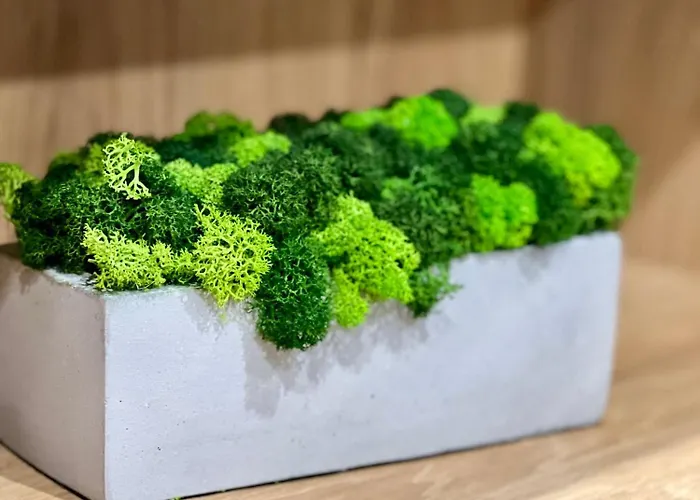 Osapart Pretty At The Complex Great Britain Апартаменти