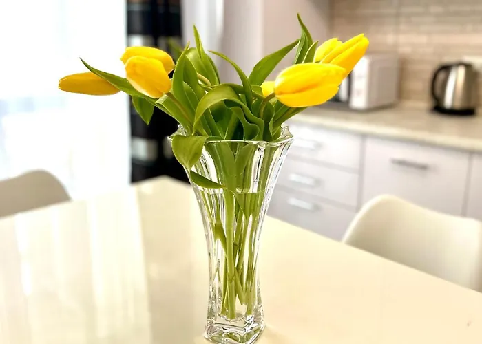 Osapart Pretty At The Complex Great Britain Львів