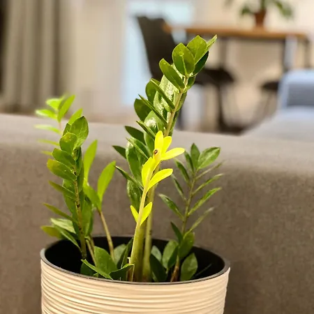 Osapart Pretty At The Complex Great Britain شقة إلفيف