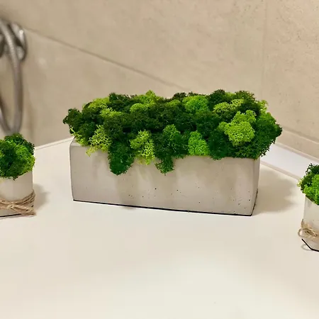 Osapart Pretty At The Complex Great Britain * 리비프