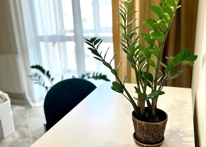 Lejlighed Osapart Pretty At The Complex Great Britain