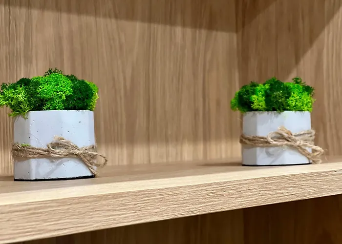 Osapart Pretty At The Complex Great Britain