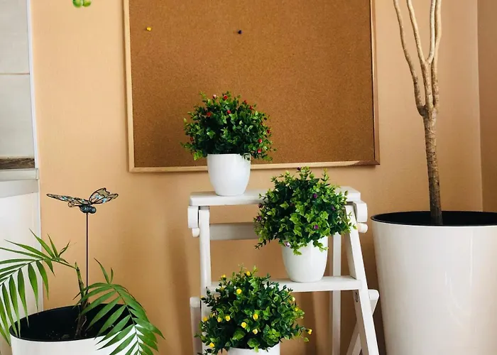 Apartman Osapart Pretty At The Complex Great Britain