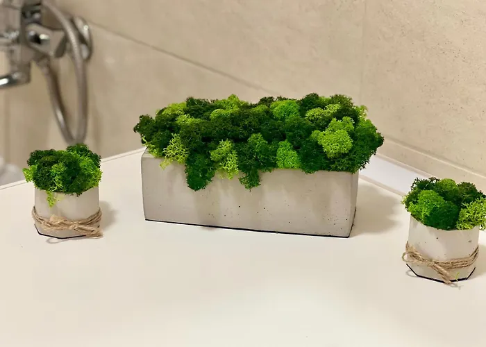 Osapart Pretty At The Complex Great Britain * 리비프